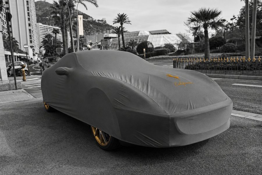 Car Cover cleaning Pittsburgh Wash